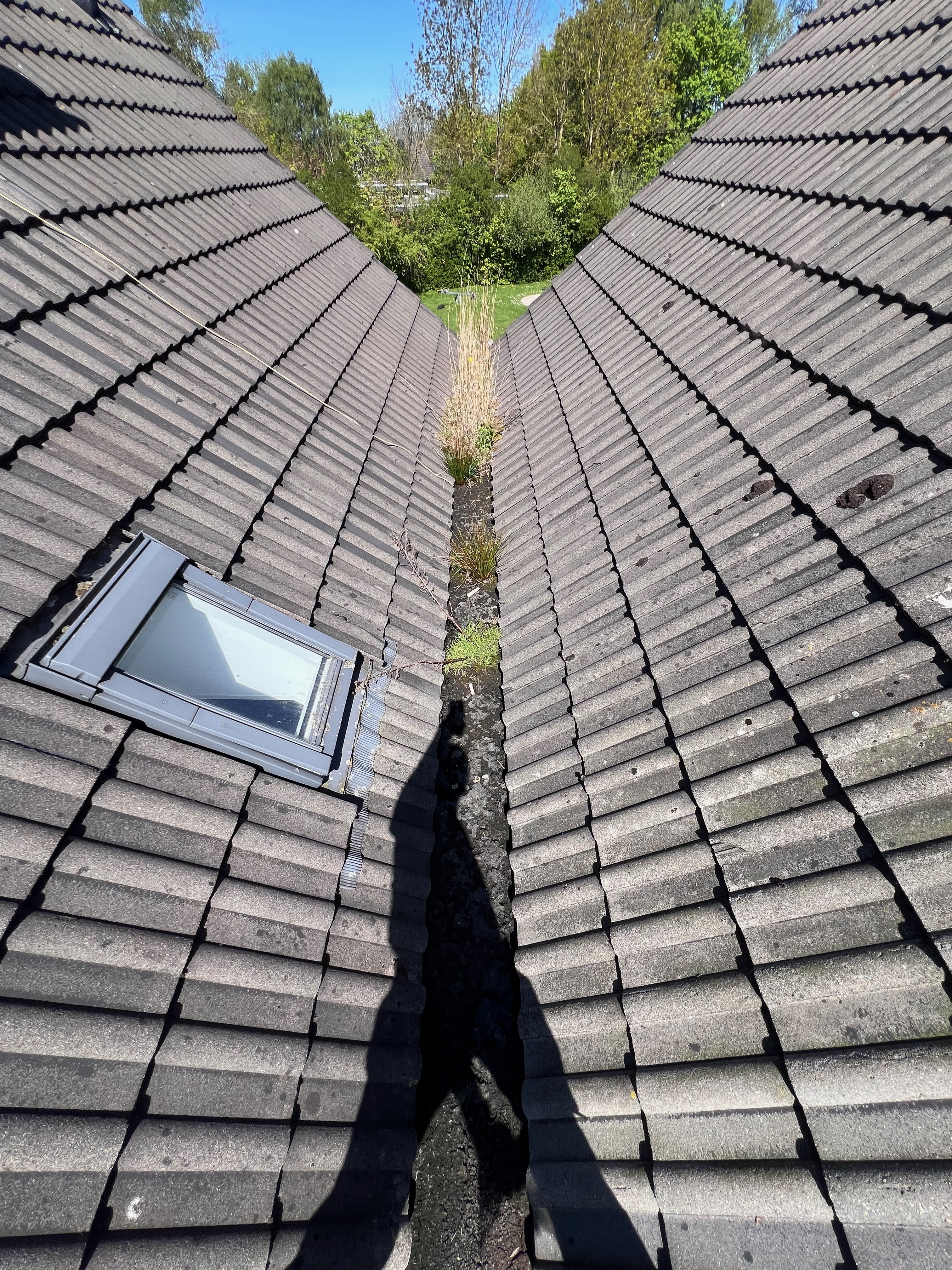 Verstopfte Dachrinne mit Moos und Gras – vorher